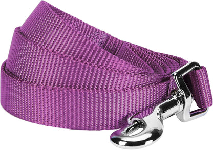 Durable Nylon Violet Dog Leash by Blueberry Pet Essentials - HuckMB Pet Supply
