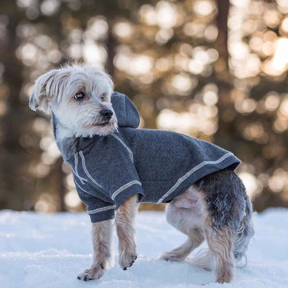 Blueberry Pet Essentials Dog Hoodie – 12 Inch, Cotton‑Blend Sweatshirt with Hood, Charcoal Grey, Machine‑Washable Small‑Dog Jersey