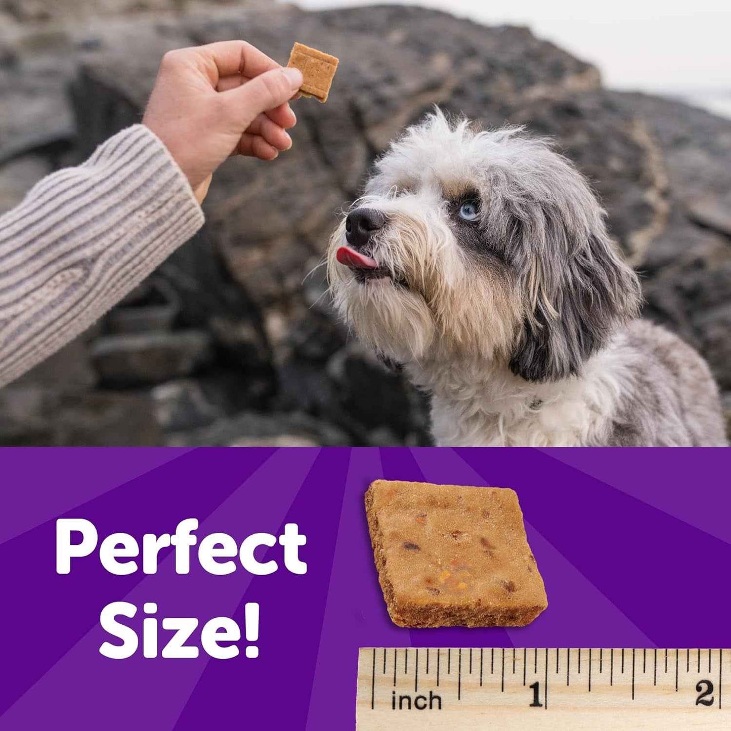 Grain-Free Soft Dog Training Treats with Turkey & Duck (6oz)