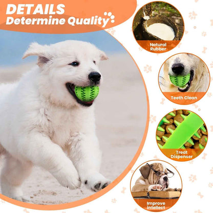 Puppy Teething Chew Toys Set: 10-Pack Squeaky & Rope Toys