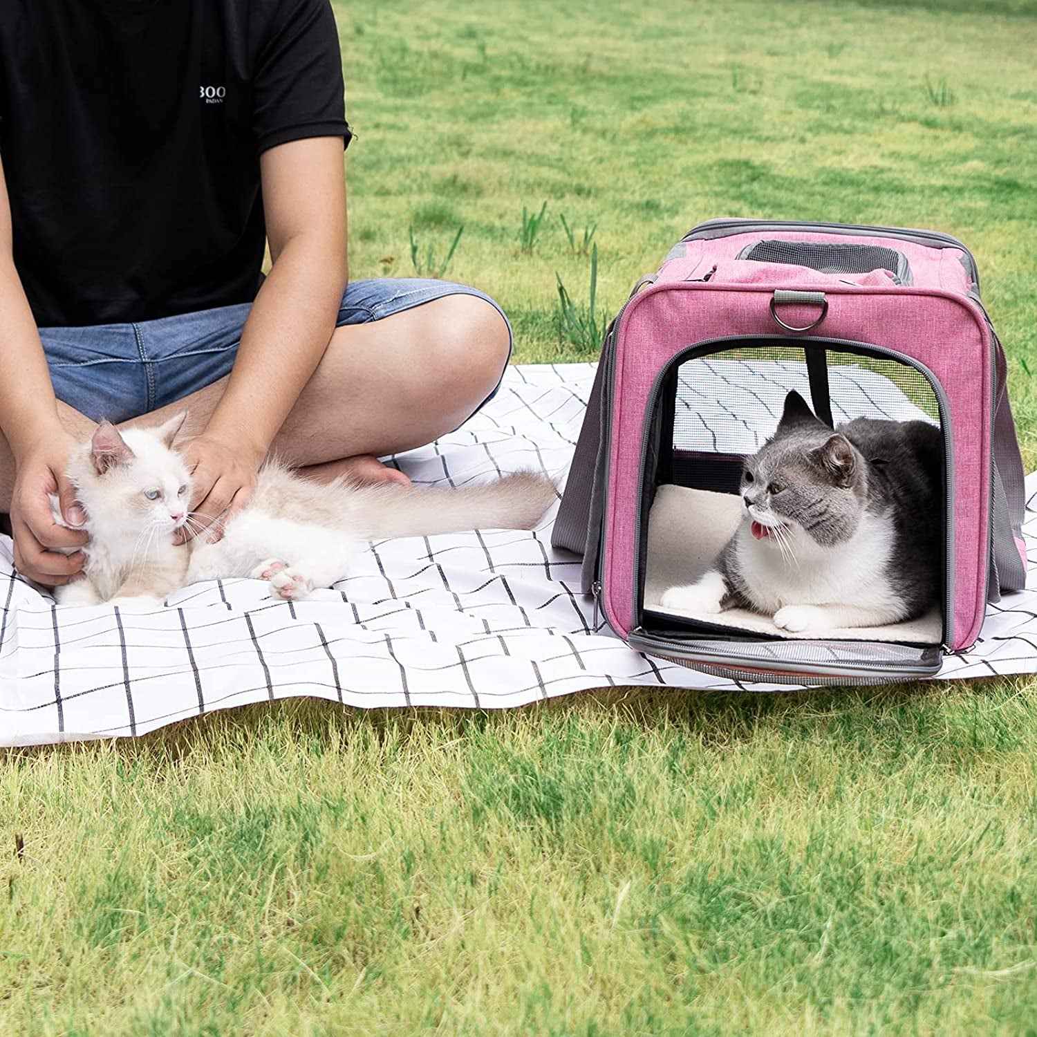 Large Pet Carrier for Travel: Soft-Sided Cat & Dog Carrier