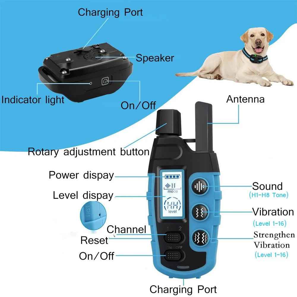 No Shock Dog Training Collar Safe