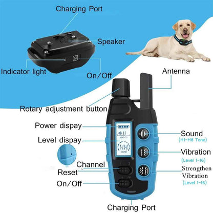 No Shock Dog Training Collar Safe
