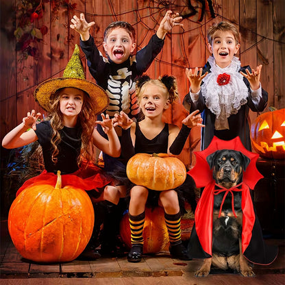 Halloween Pet Cloak Costume: Vampire Cape for Dogs & Cats - HuckMB Pet Supply