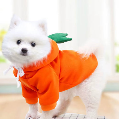 Fruit Dog Clothes for Small Dogs - Hoodies & Fleece Jackets - HuckMB Pet Supply