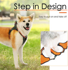 No Choke Dog Harness: Step-In, Escape-Proof for Large Dogs