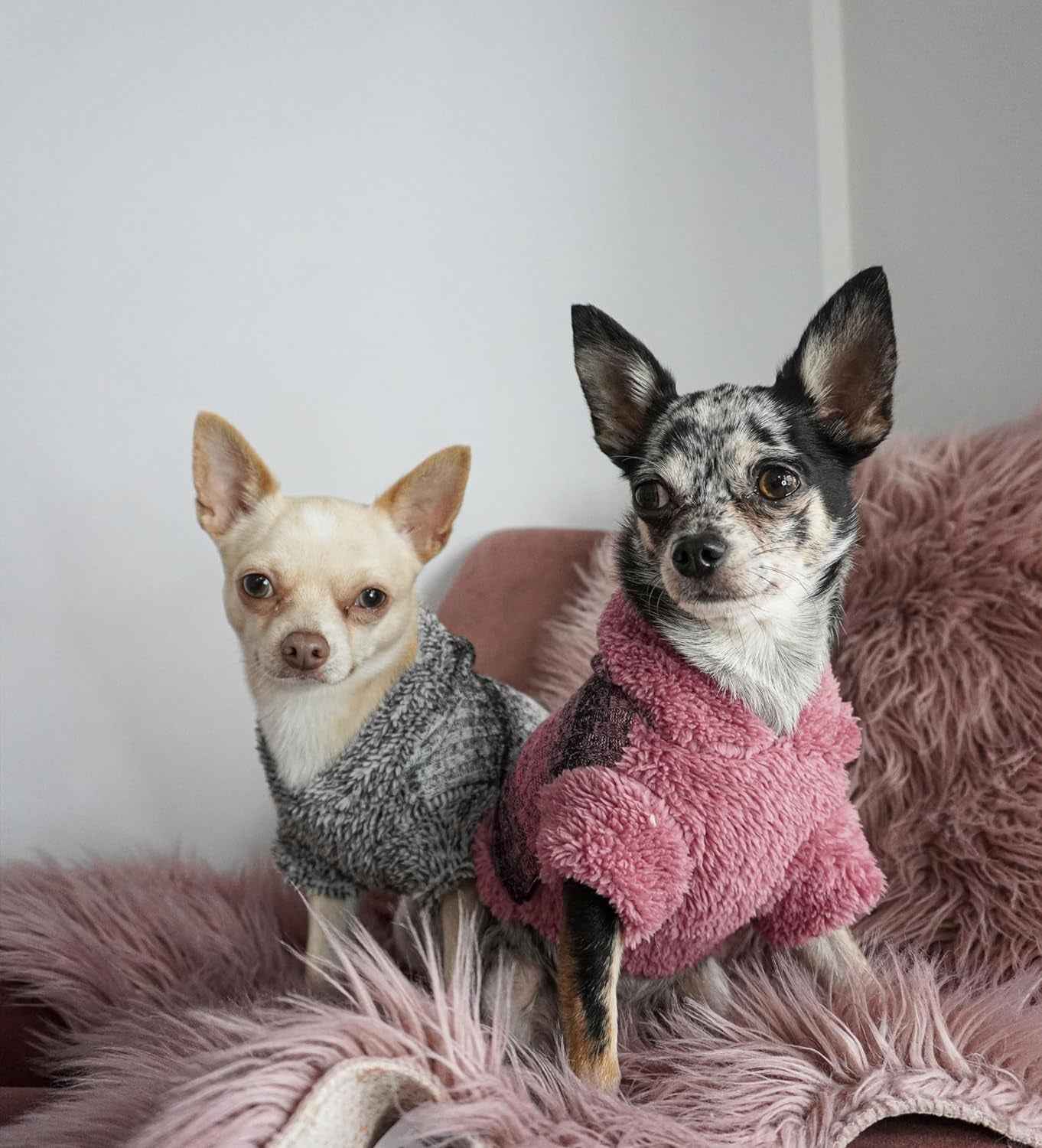 Fitwarm Fuzzy Dog Sweater, Knitted Winter Dog Clothes for Small Dogs Boy Girl, Pet Cat Hooded Outfit, Heather Grey, Black, Medium