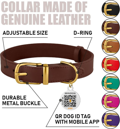 BRONZEDOG Leather Collar with QR Tag for Small Dogs & Cats - HuckMB Pet Supply