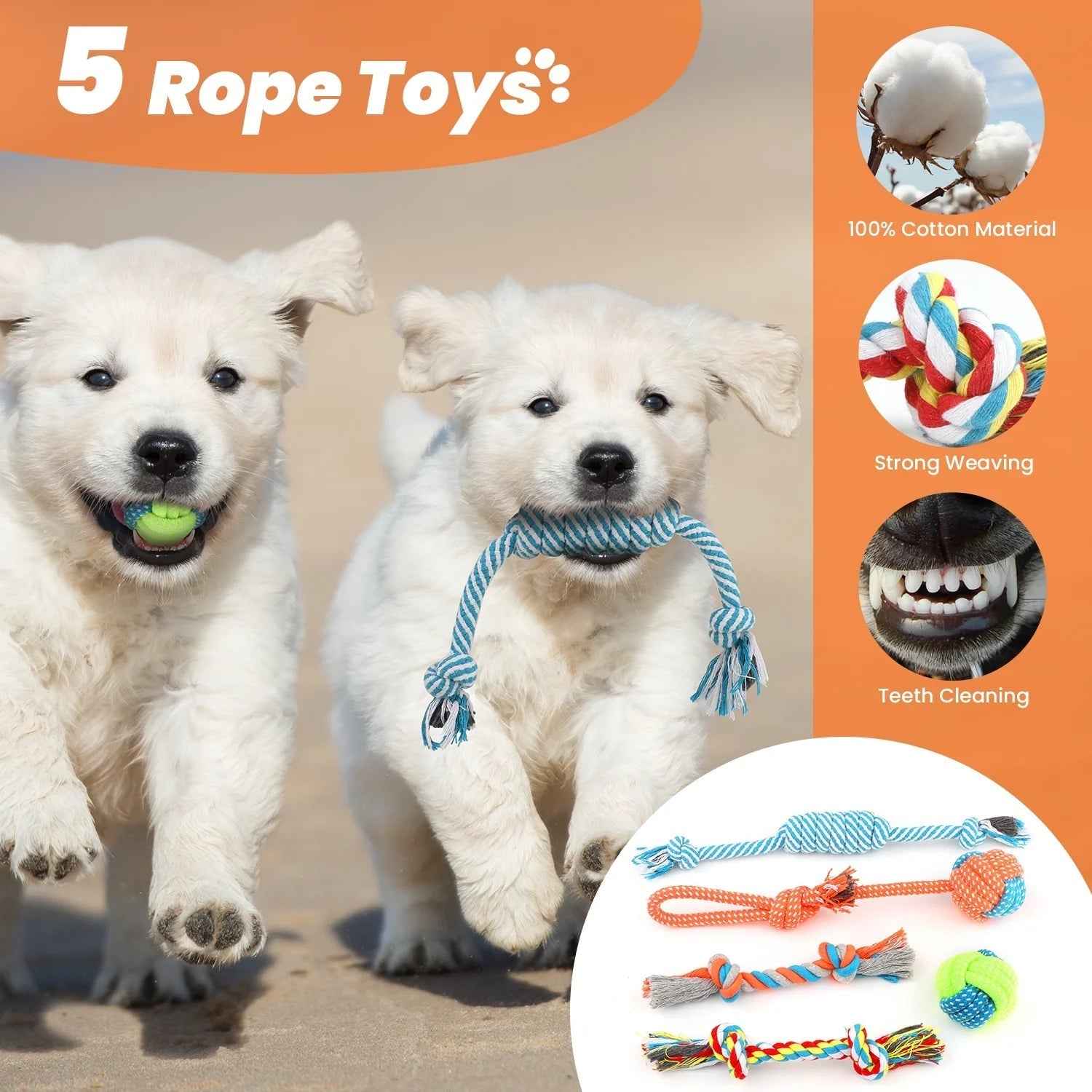 Puppy Teething Chew Toys Set: 10-Pack Squeaky & Rope Toys