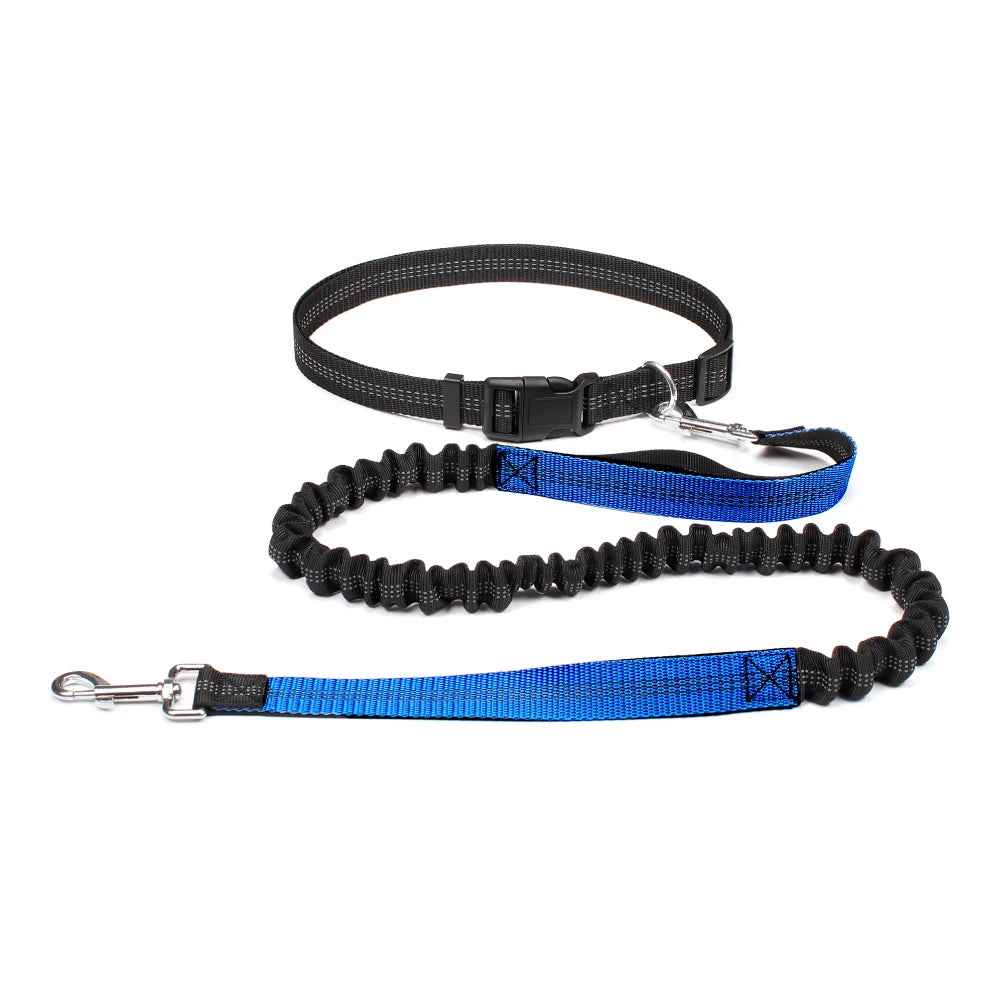 Hands Free Dog Leash Adjustable