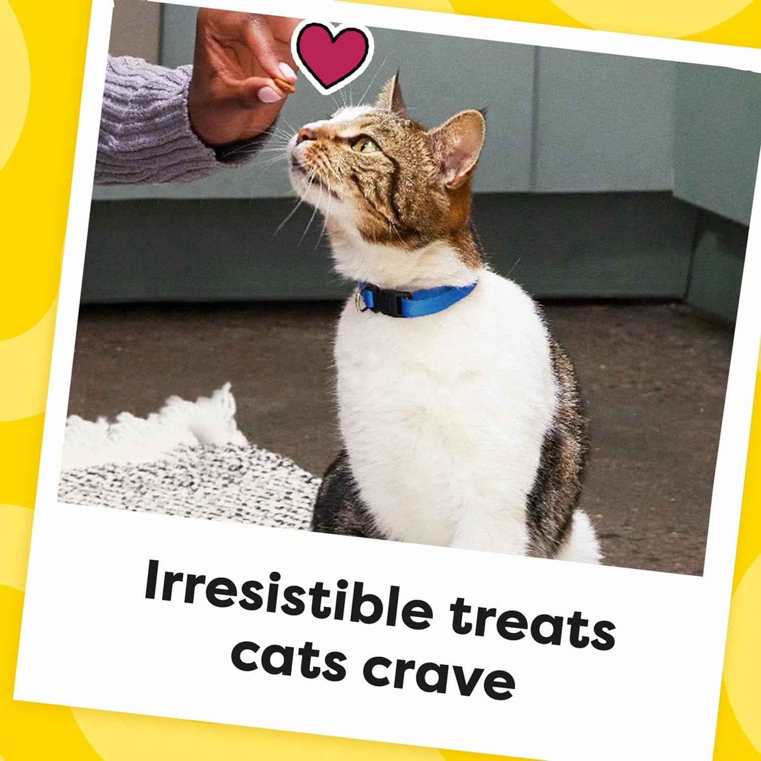 Temptations Chicken Cat Treats - Crunchy & Soft Delights