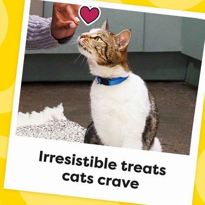 Temptations Chicken Cat Treats - Crunchy & Soft Delights