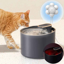 HydraGlow Motion Fountain - Smart Pet Water Fountain