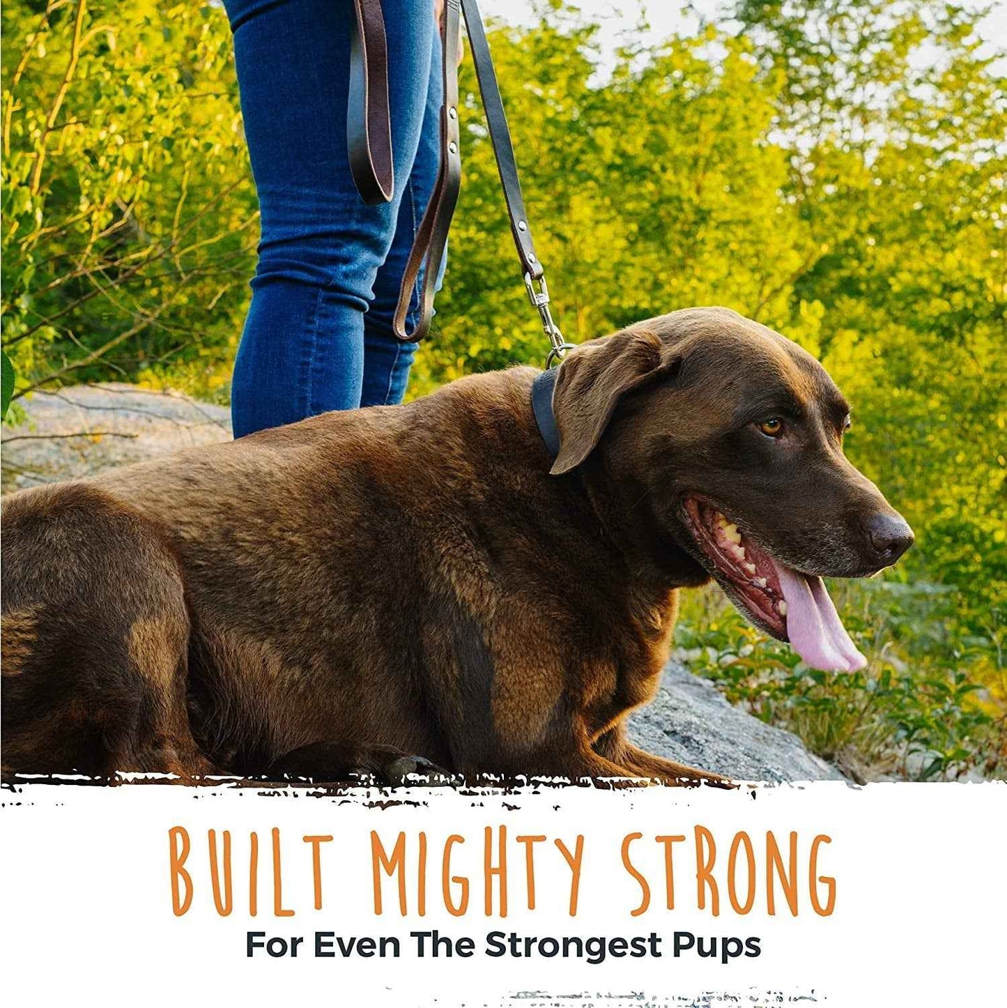 Genuine Leather Dog Leash - Durable, Stylish & All-Size Fit