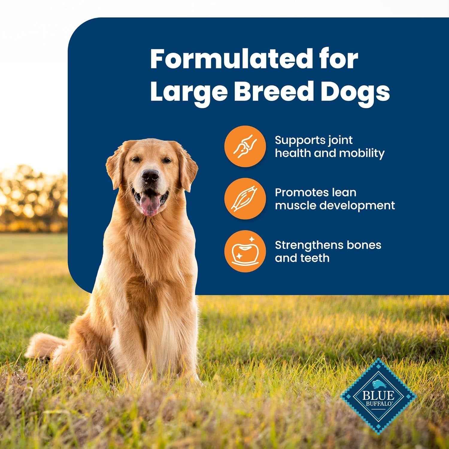 Blue Buffalo Large Breed Dog Food - Joint Health Formula