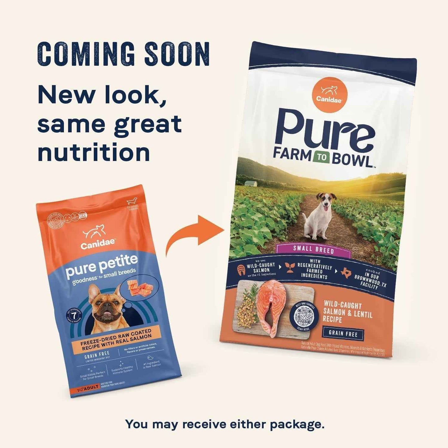 Canidae Pure Petite Salmon Grain-Free Small Breed Dog Food