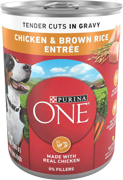 Purina ONE High Protein Chicken and Rice Dog Food in Gravy