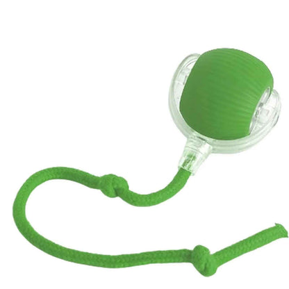 Interactive Pet Rolling Ball Toy