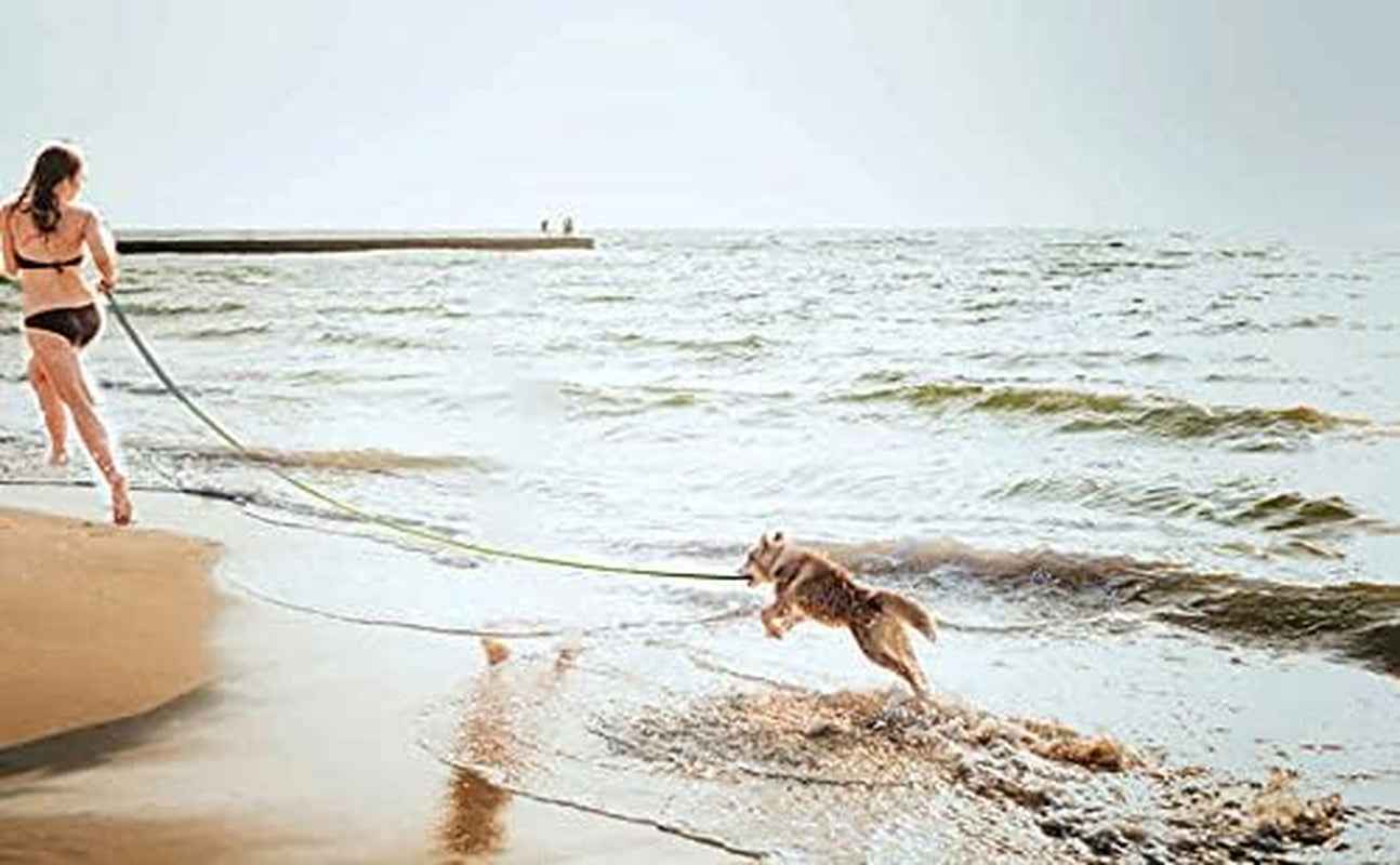 Durable Long Dog Lead for Training & Outdoor Activities