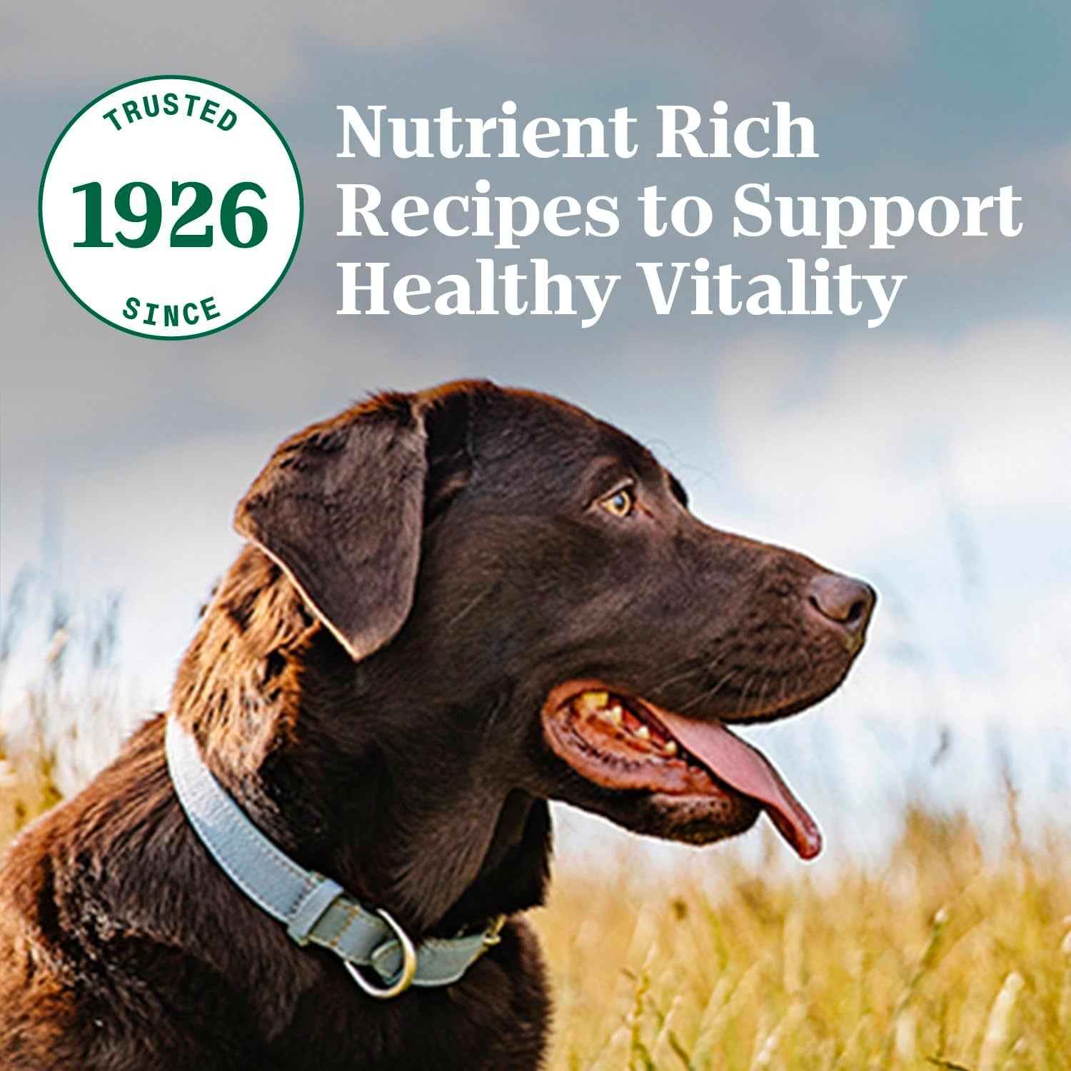 Nutro Natural Choice Large Breed Healthy Dog Food, Chicken & Brown Rice, 30 Lbs.