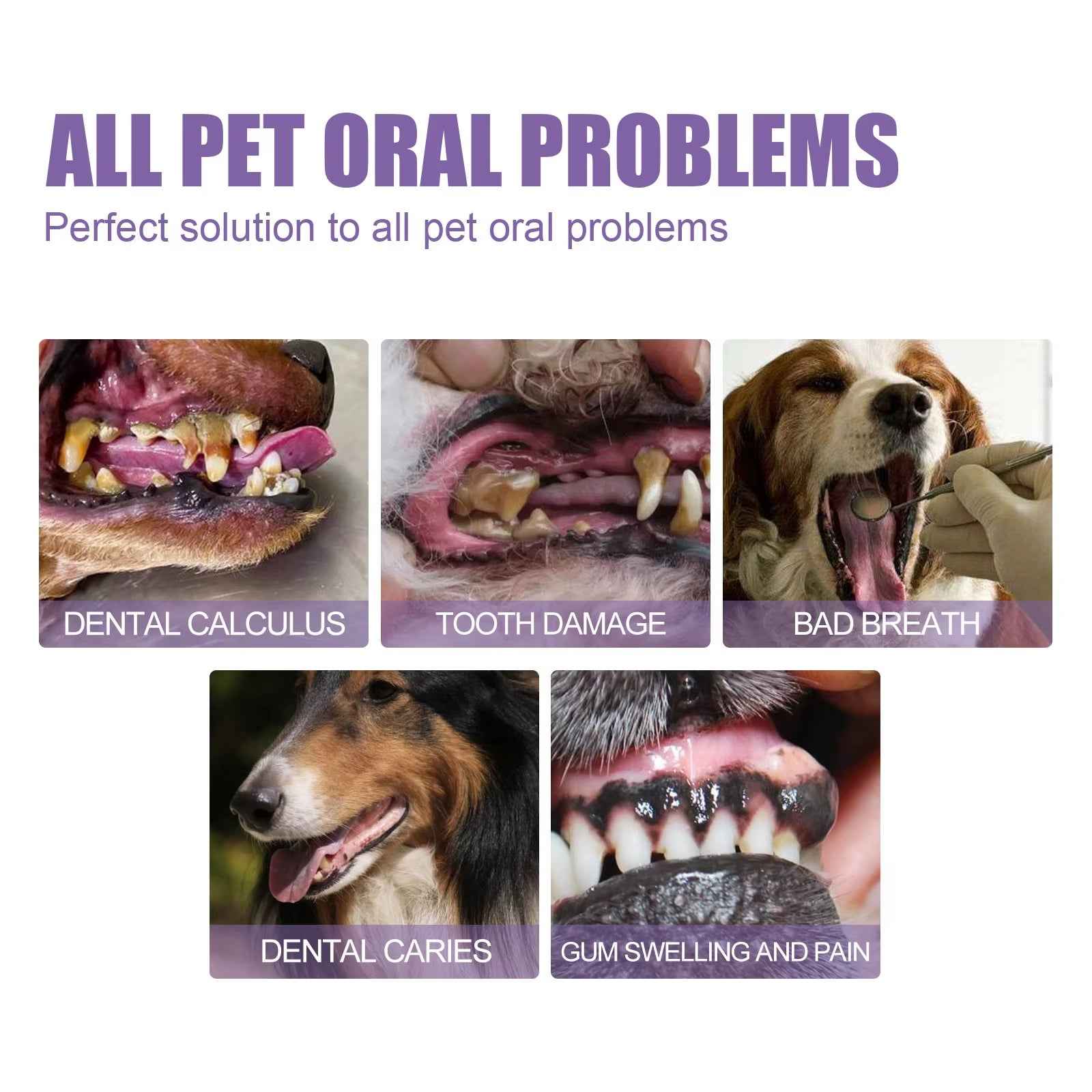 Pet Oral Care Gel for Fresh Breath