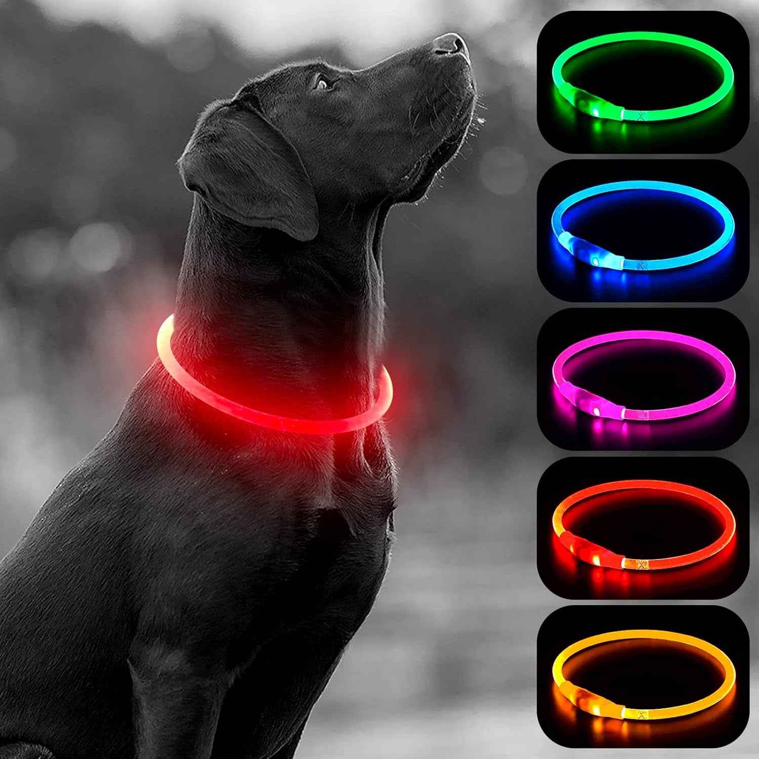 USB Rechargeable LED Dog Collar Light for Night Walks