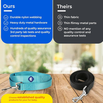 Durable Nylon Violet Dog Leash by Blueberry Pet Essentials - HuckMB Pet Supply