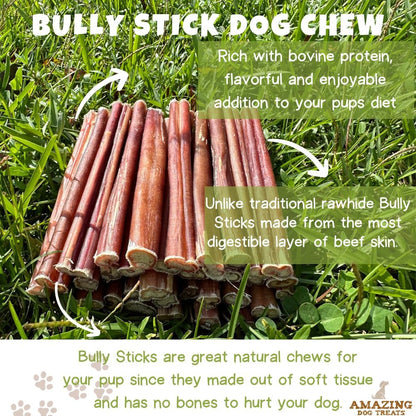 Natural 6 Inch Medium Bully Sticks for Dogs: Healthy Treats - HuckMB Pet Supply