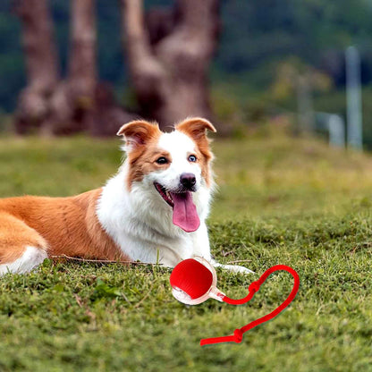 Interactive Pet Rolling Ball Toy