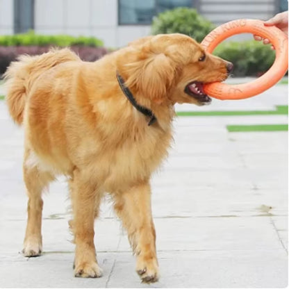 Durable Dog Training Flying Disk Toy - EVA Ring for Pets - HuckMB Pet Supply