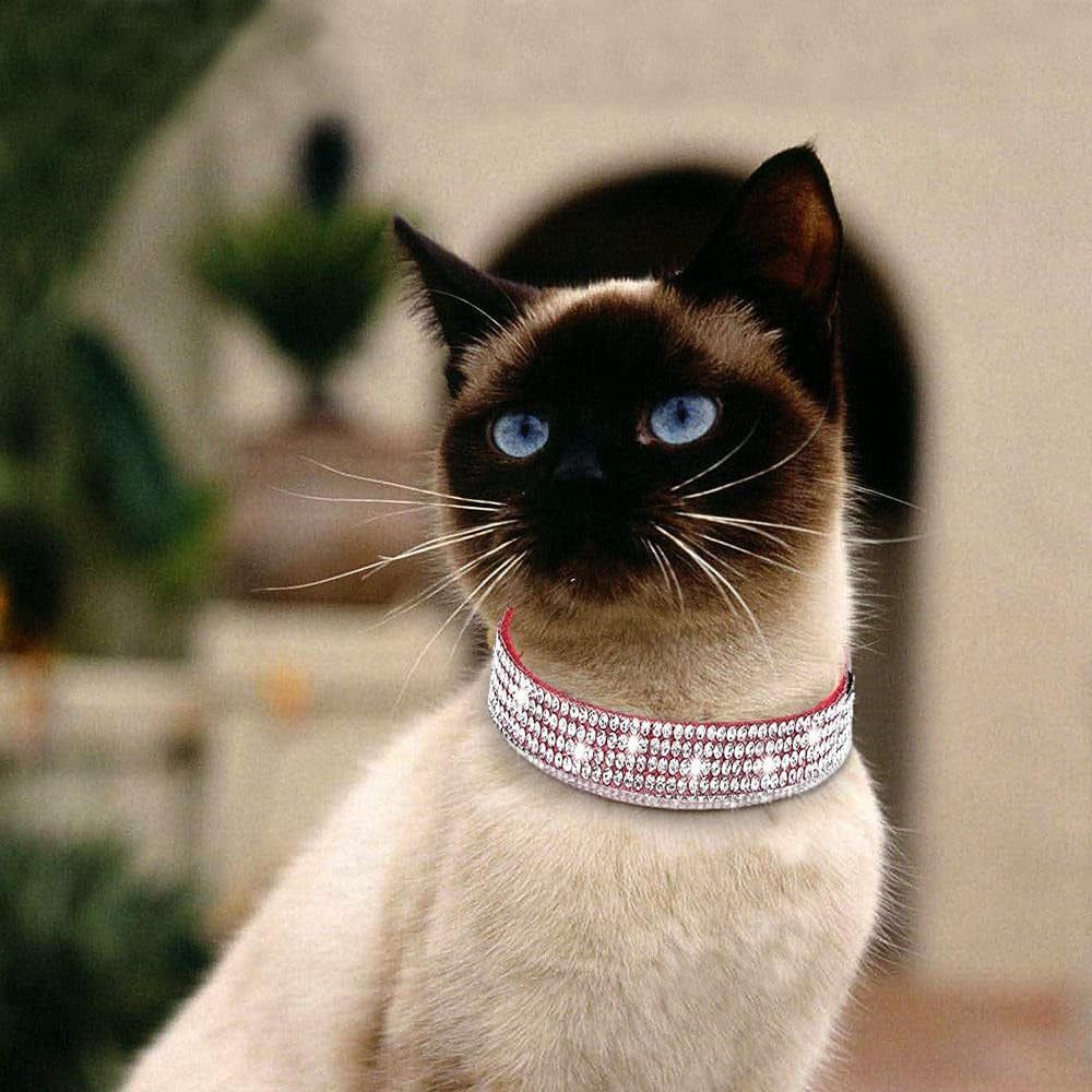 Velvet Rhinestone Pet Collar: Bling & Comfort - HuckMB Pet Supply