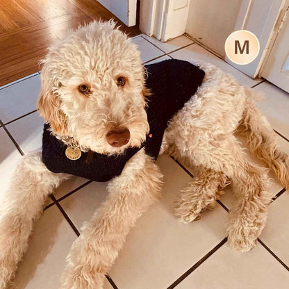 KYEESE Dog Sweater with Leash Hole Warm Pullover with Reflective Yarn for Small and Medium Dogs Male Soft Knit Pullover Boy Dog Coats Cozy Lightweight Thick Sweater,Navy Blue,Medium