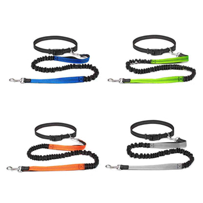 Hands Free Dog Leash Adjustable