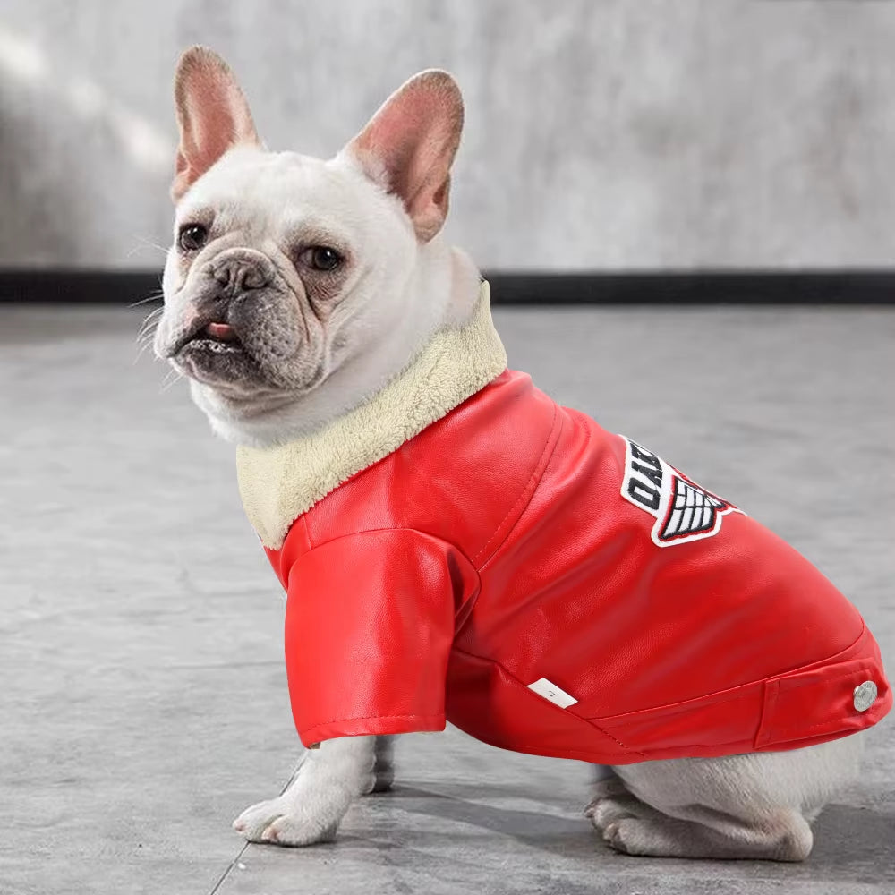 French Bulldog Winter Leather Jacket for Small / Medium Dogs - HuckMB Pet Supply