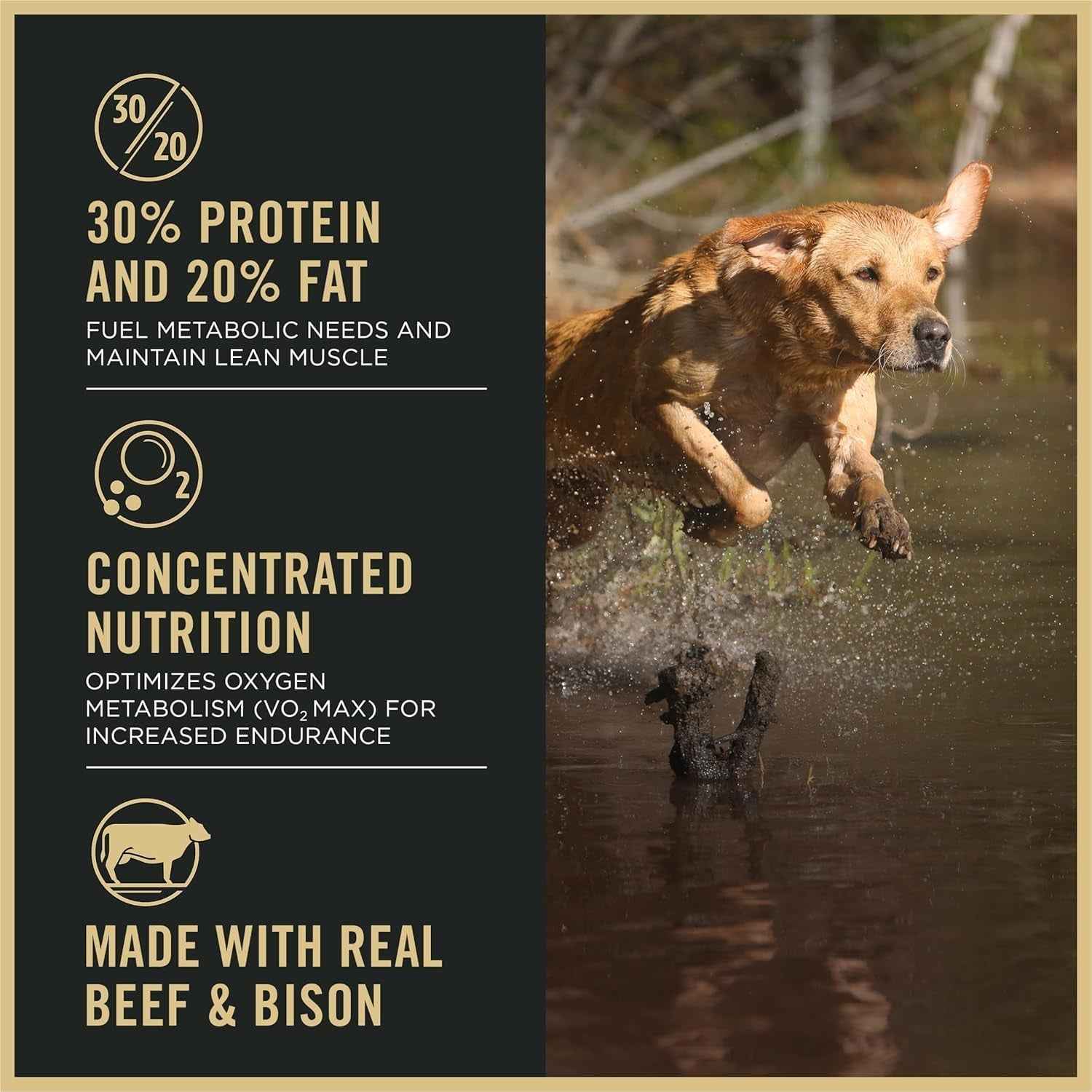 High Protein Dry Dog Food for Active Dogs - Purina Pro Plan Sport