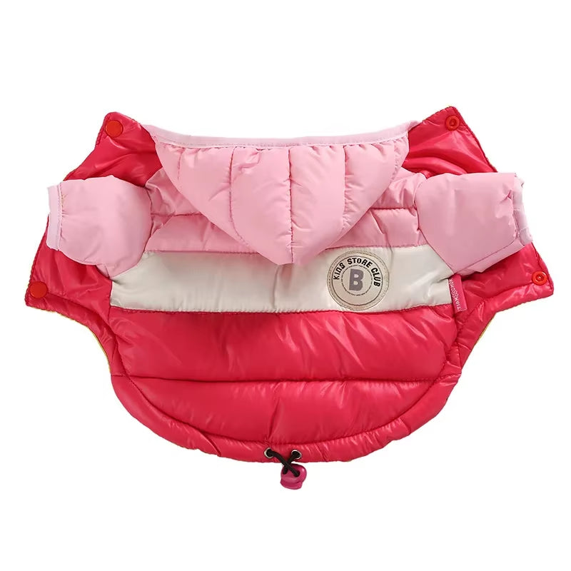 Waterproof Dog Coat for Small Breeds - HuckMB Pet Supply