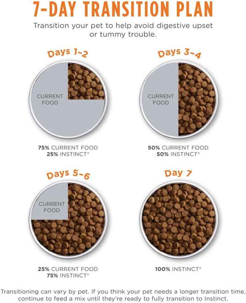 Grain-Free High-Protein Kitten Food - Raw Coated Kibble