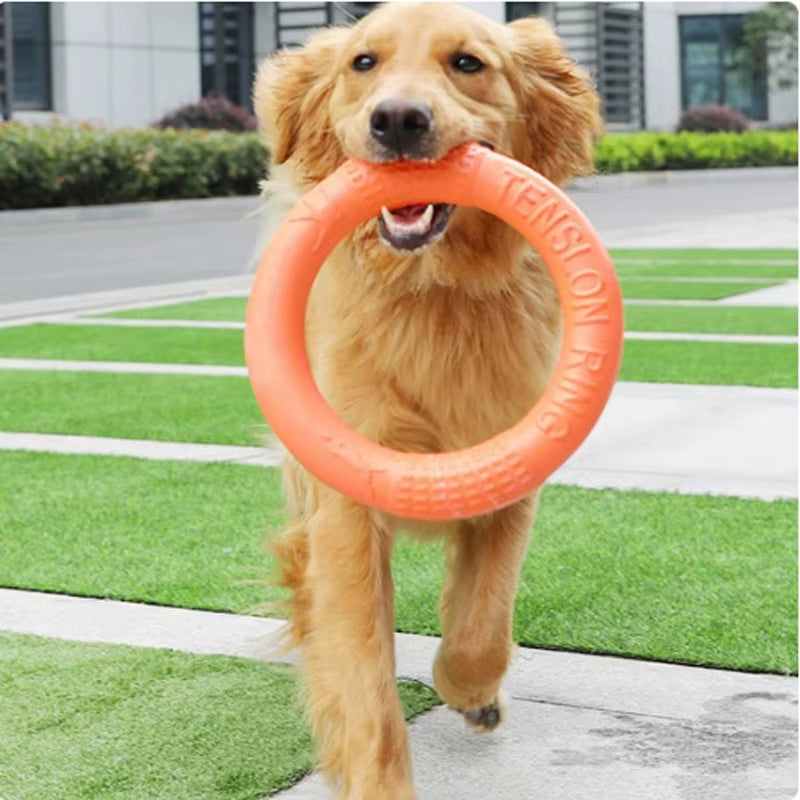 Durable Dog Training Flying Disk Toy - EVA Ring for Pets - HuckMB Pet Supply