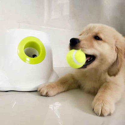 Automatic Ball Launcher for Dogs