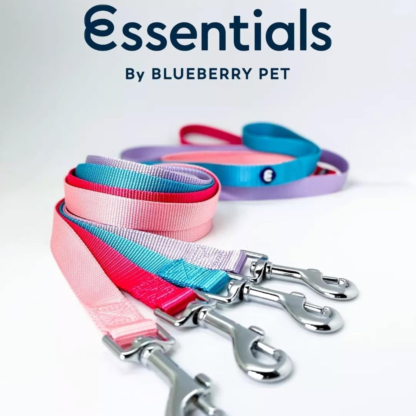 Durable Nylon Violet Dog Leash by Blueberry Pet Essentials - HuckMB Pet Supply