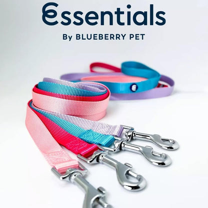 Durable Nylon Violet Dog Leash by Blueberry Pet Essentials - HuckMB Pet Supply