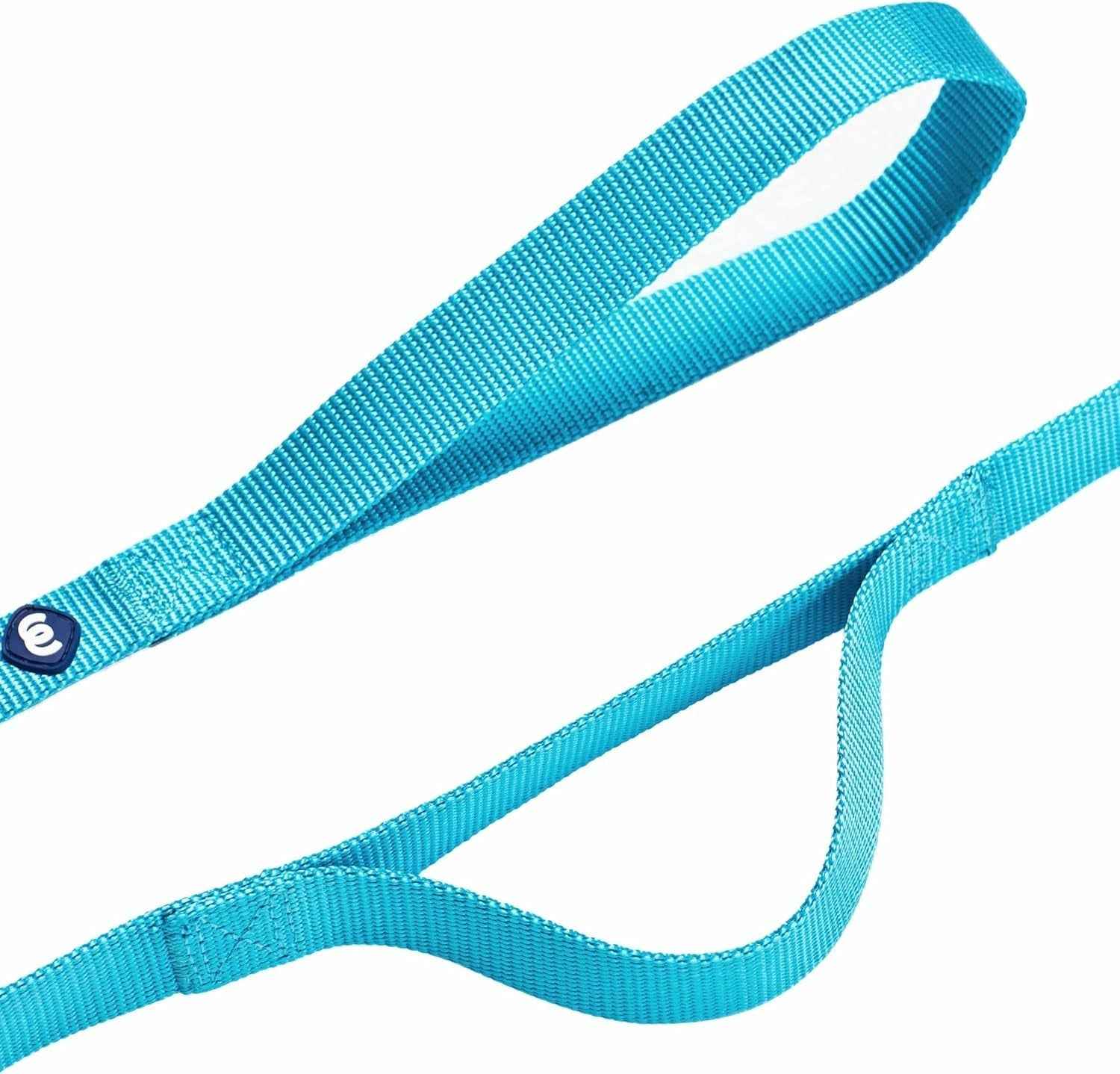 Durable Double Handle Dog Leash for Safe Walks | Turquoise