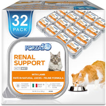 Forza10 Kidney Care Wet Cat Food - Renal Support with Lamb - HuckMB Pet Supply