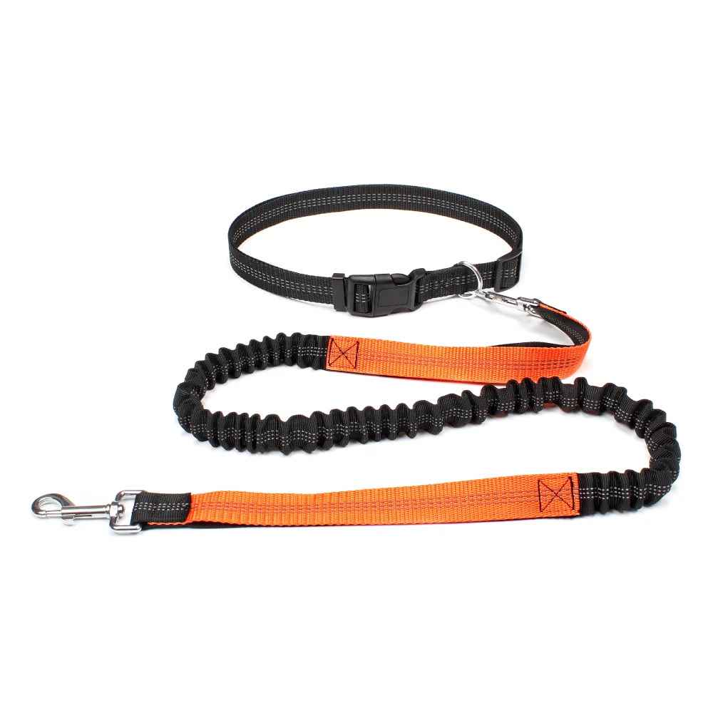 Hands Free Dog Leash Adjustable