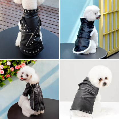 French Bulldog Winter Leather Jacket for Small / Medium Dogs - HuckMB Pet Supply