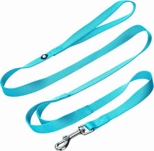 Durable Double Handle Dog Leash for Safe Walks | Turquoise
