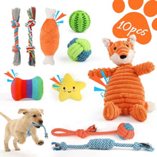 Puppy Teething Chew Toys Set: 10-Pack Squeaky & Rope Toys