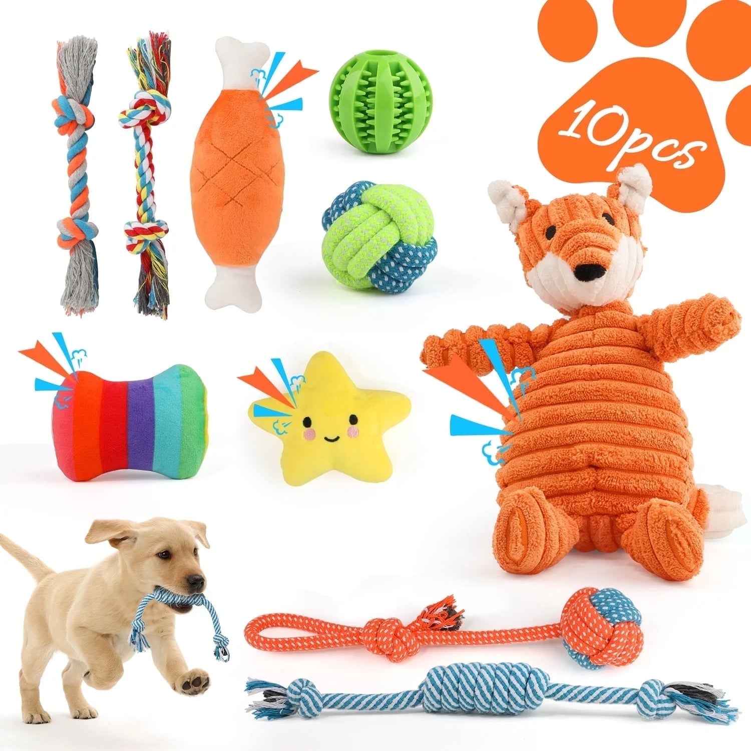 Puppy Teething Chew Toys Set: 10-Pack Squeaky & Rope Toys