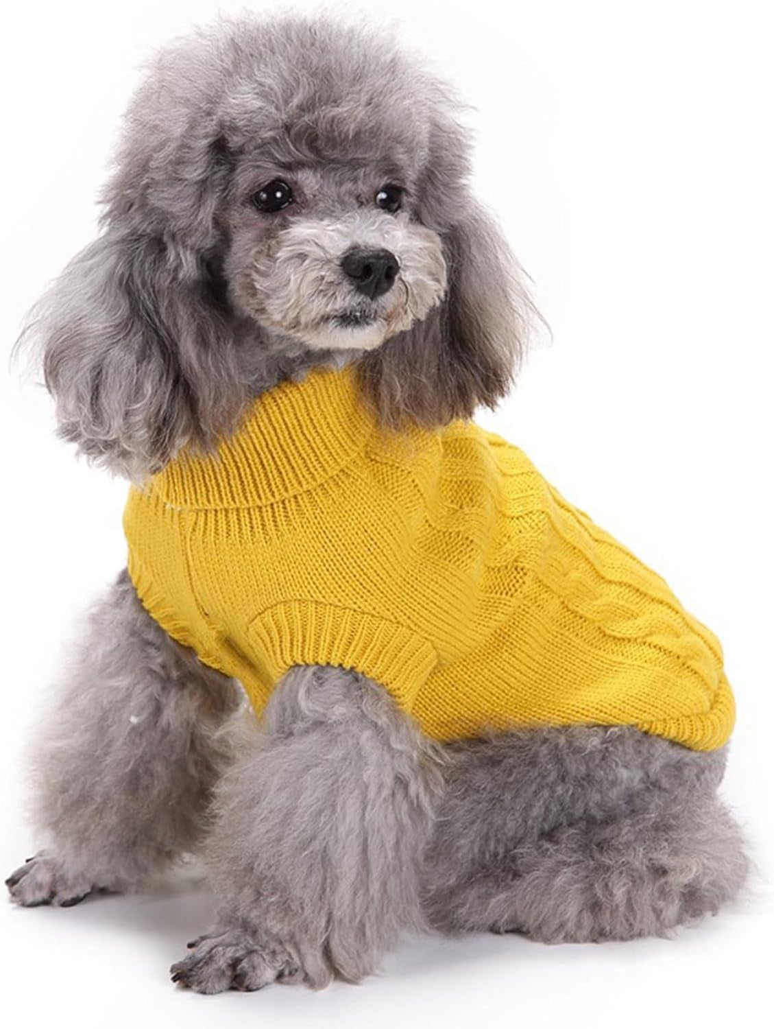 Small Dog Warm Sweater - Perfect Winter Wear for Pets - HuckMB Pet Supply