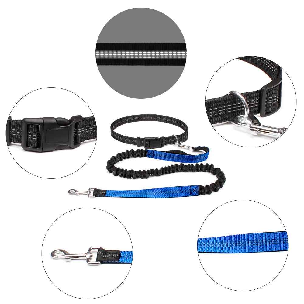 Hands Free Dog Leash Adjustable